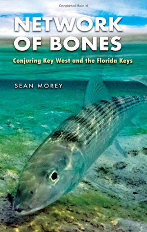 book jacket of Sean Morey's book